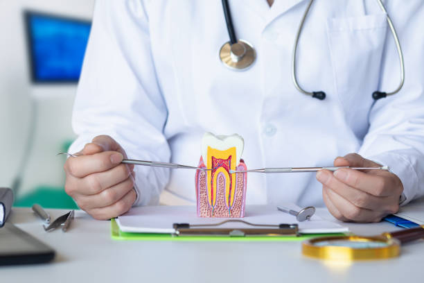 Best Emergency Root Canal Treatment in Fort Dodge, IA